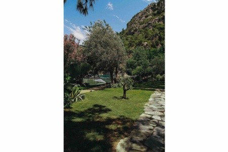 Yazz Collective - 29