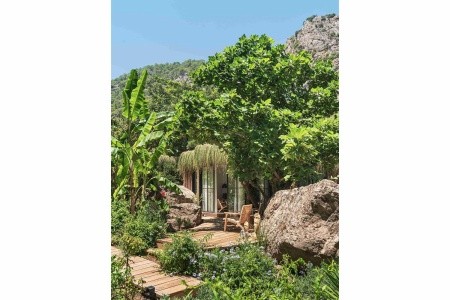 Yazz Collective - 30