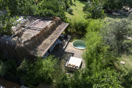 Yazz Collective - 49