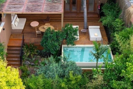 Yazz Collective - 50