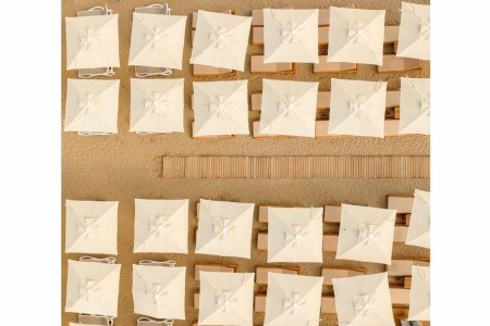 Victoria Princess - 81