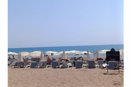 Victoria Princess - 82