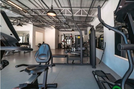 Victoria Princess - 91