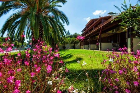 Palladium (Kassandra) - 7