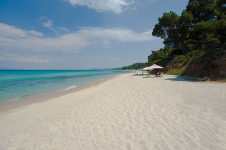 Palladium (Kassandra) - 53