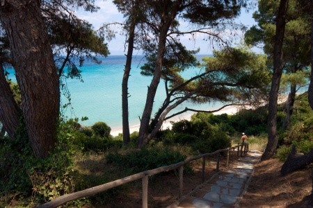 Palladium (Kassandra) - 54