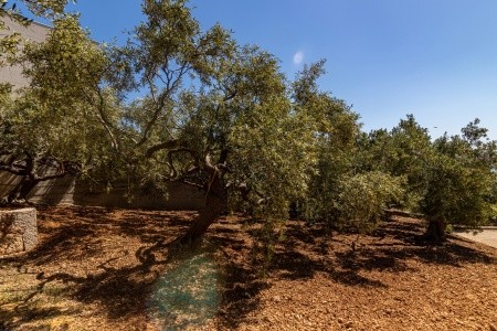 Apartmány 3298-672 - 58