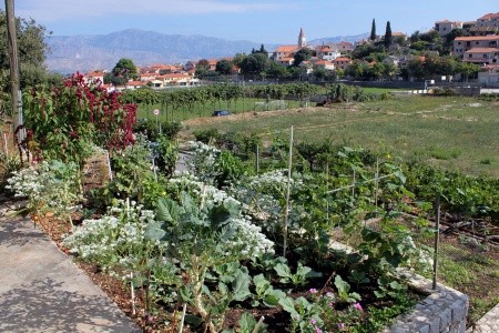 Apartmány 3298-1162 - 6