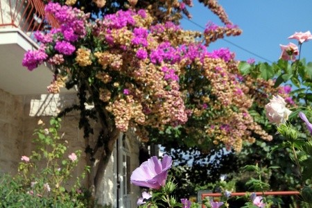 Apartmány 3298-1162 - 10