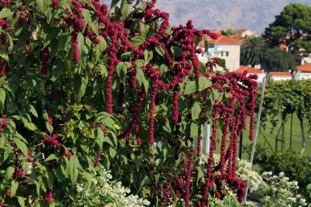 Apartmány 3298-1162 - 13