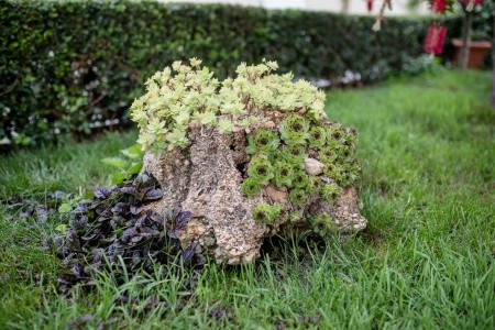 Apartmány 3298-932 - 64