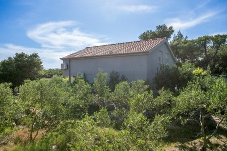 Apartmány 3298-4214 - 5