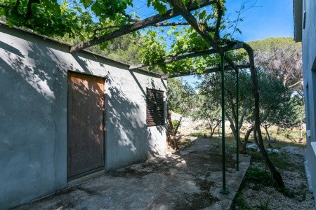 Apartmány 3298-4214 - 10