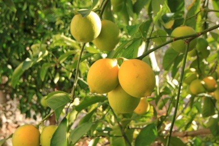 Apartmány 3298-2090 - 26