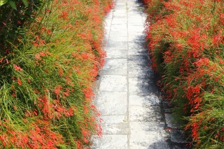 Apartmány 3298-167 - 9