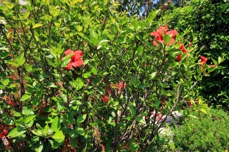 Apartmány 3298-167 - 10