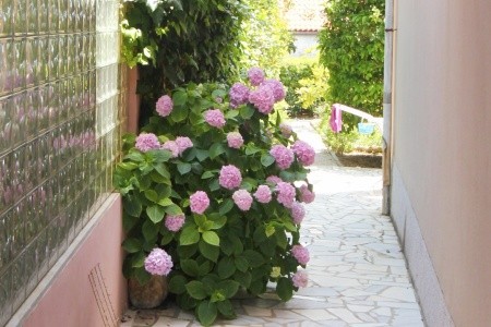 Apartmány 3298-167 - 59