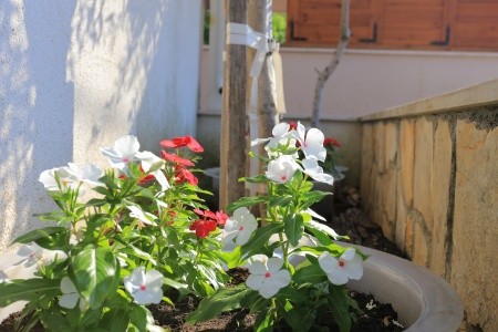 Apartmány 3298-2711 - 45