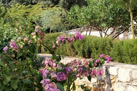 Apartmány 3298-6952 - 11