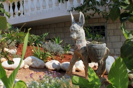 Apartmány 3298-6952 - 13