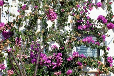 Apartmány 3298-6952 - 14