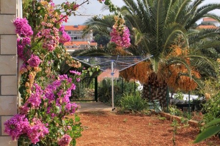 Apartmány 3298-6952 - 15