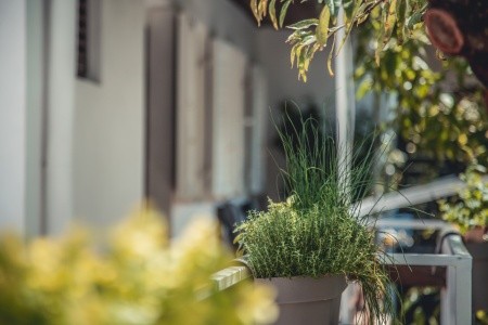 Apartmány 3298-7326 - 25