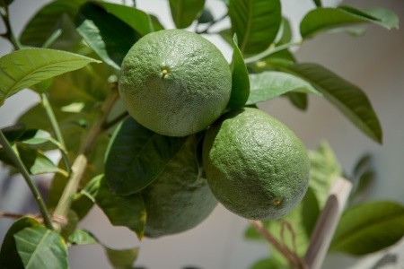 Apartmány 3298-7326 - 27