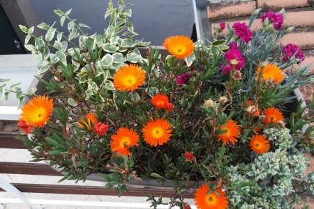 Apartmány 3298-7326 - 28