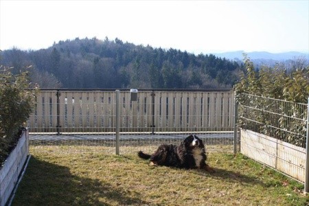 Garni Am Seggauberg - 43