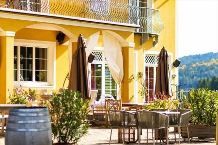 Winzerhotel Am Gut Moser - 4