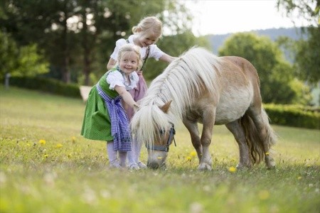 Rakúsko Štajersko Waldhof Muhr Hotel & Restaurant (Pöllau) 5 dňový pobyt Polpenzia Vlastná April 2027 (21/04/27-25/04/27)
