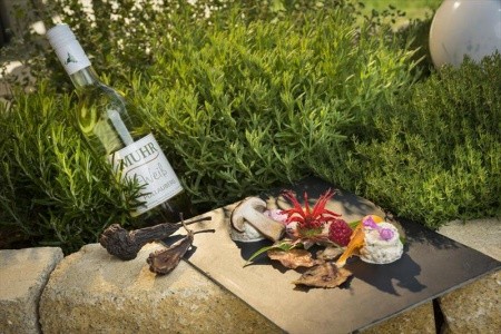 Rakúsko Štajersko Waldhof Muhr Hotel & Restaurant (Pöllau) 5 dňový pobyt Polpenzia Vlastná April 2027 (21/04/27-25/04/27)