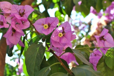 Apartmány 3298-3026 - 42