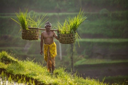 To Nejlepší Z Bali + Pobyt U Moře - 4
