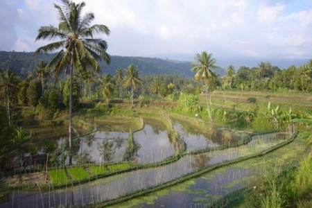 To Nejlepší Z Bali + Pobyt U Moře - 21