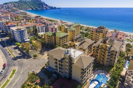 Kleopatra Royal Palm - 4