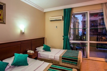 Kleopatra Royal Palm - 14