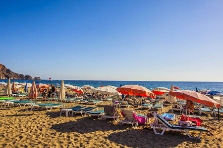 Kleopatra Royal Palm - 18