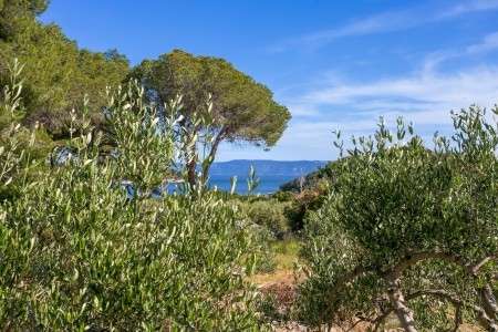 Apartmány 3298-4214 - 19