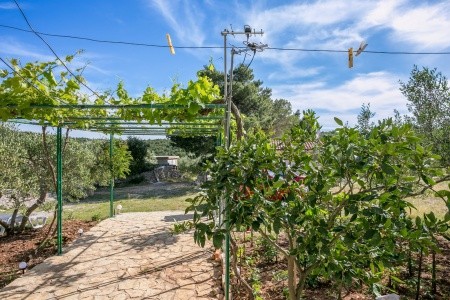 Apartmány 3298-4214 - 27