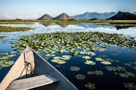 Balkán, Novi Sad, Belehrad, Blagaj Tekija, Boka Kotorská, Kotor, Medjugorje, Mostar, Okruh Balkánom, Okruh Balkánom, Okruh Balkánom, Sarajevo, Užice, Sirogojno, Skadarské jazero, Mecavnik, Sremski Kar - 15