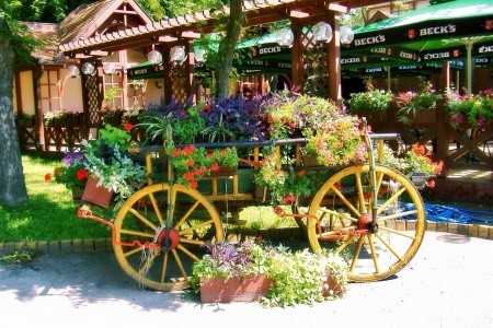 Balkán, Novi Sad, Belehrad, Blagaj Tekija, Boka Kotorská, Kotor, Medjugorje, Mostar, Okruh Balkánom, Okruh Balkánom, Okruh Balkánom, Sarajevo, Užice, Sirogojno, Skadarské jazero, Mecavnik, Sremski Kar - 21