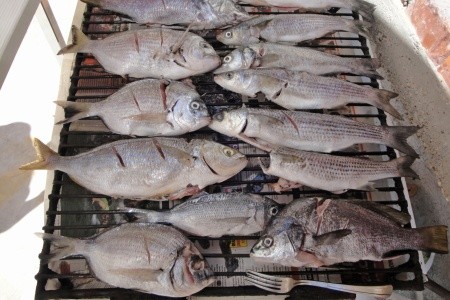 Robinzonáda 3298-3307 - 53