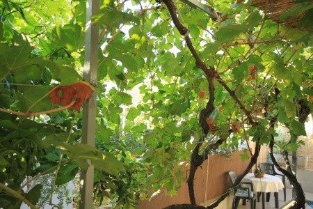 Apartmány 3298-2028 - 31