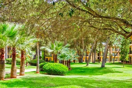 Španielsko Mallorca Vell Marí Hotel & Resort 11 dňový pobyt All Inclusive Letecky Letisko: Praha June 2026 (30/06/26-10/07/26)