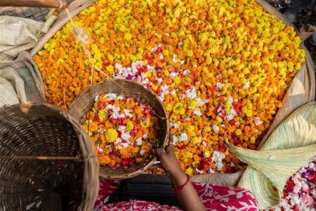 Tajomná India & Andamanské ostrovy: Od Tádž Mahalu po tropický raj - 17