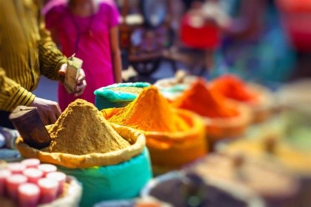 Tajomná India & Andamanské ostrovy: Od Tádž Mahalu po tropický raj - 22