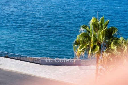 Kanárske ostrovy Tenerife Hovima Jardin Caleta 8 dňový pobyt Polpenzia Letecky Letisko: Viedeň November 2026 (24/11/26- 1/12/26)