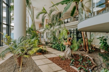 Madeira Funchal Enotel Lido 14 dňový pobyt All Inclusive Letecky Letisko: Budapešť November 2026 (18/11/26- 1/12/26)